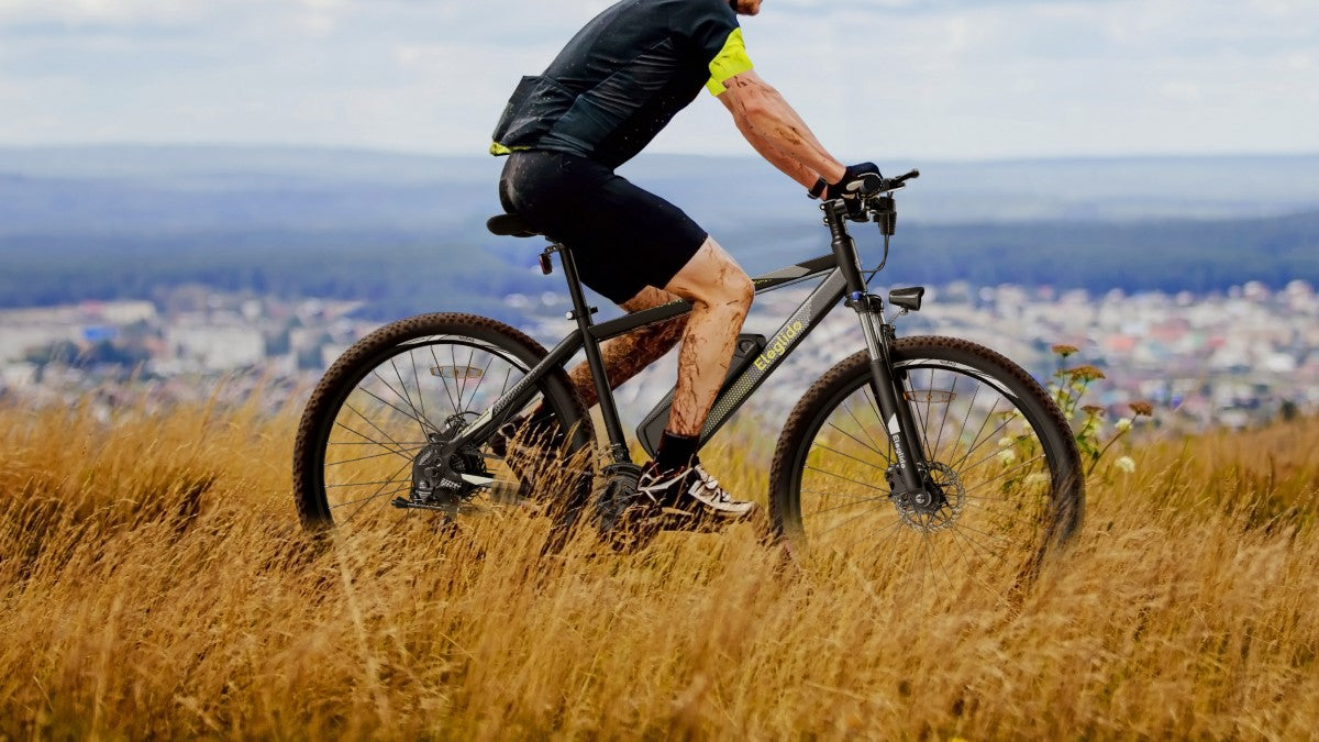 ruote grosse confronto e bike mtb