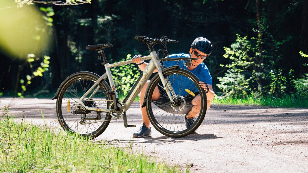 Ebike Guide for Beginners Eleglide