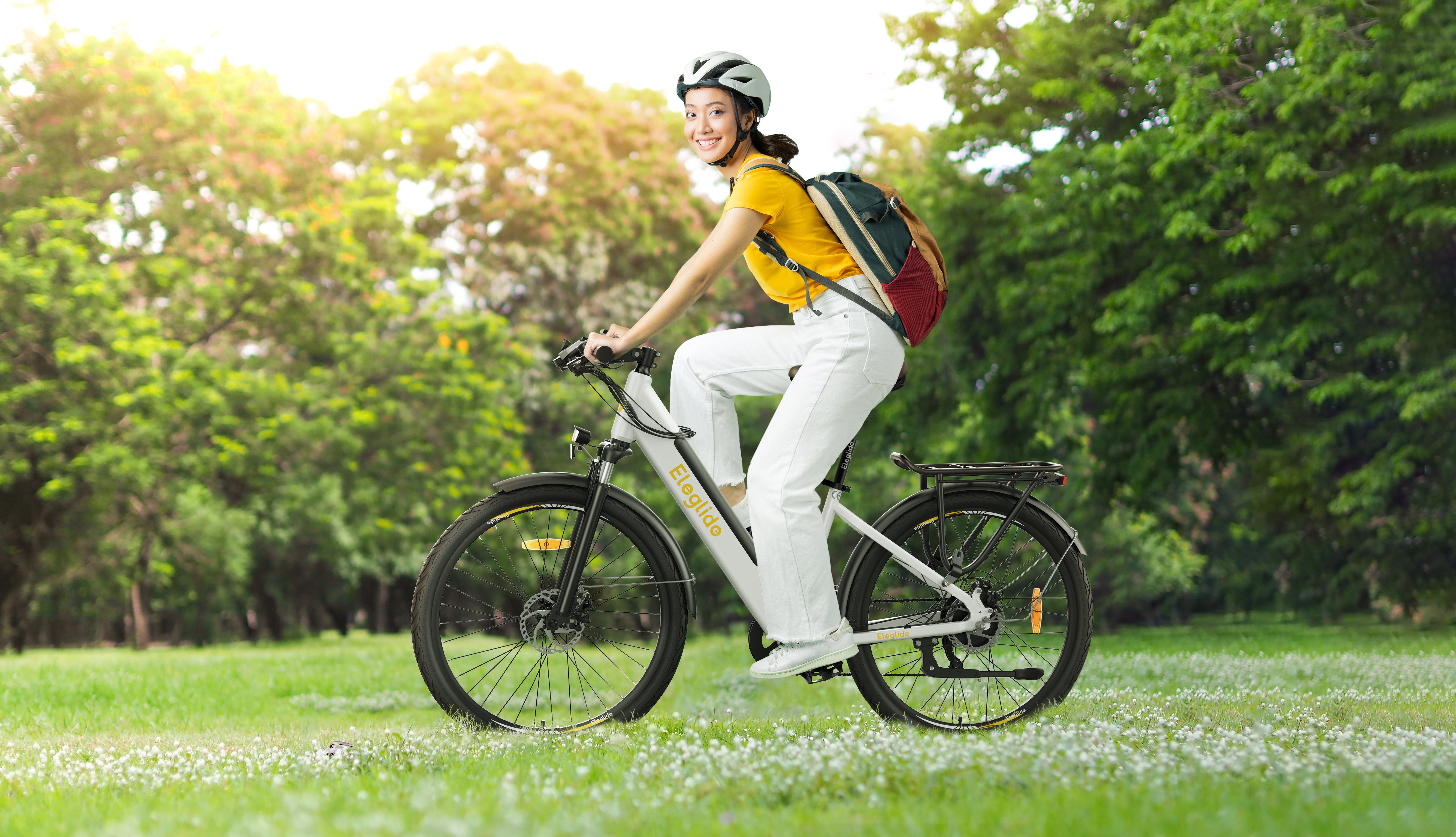 World Bicycle Day