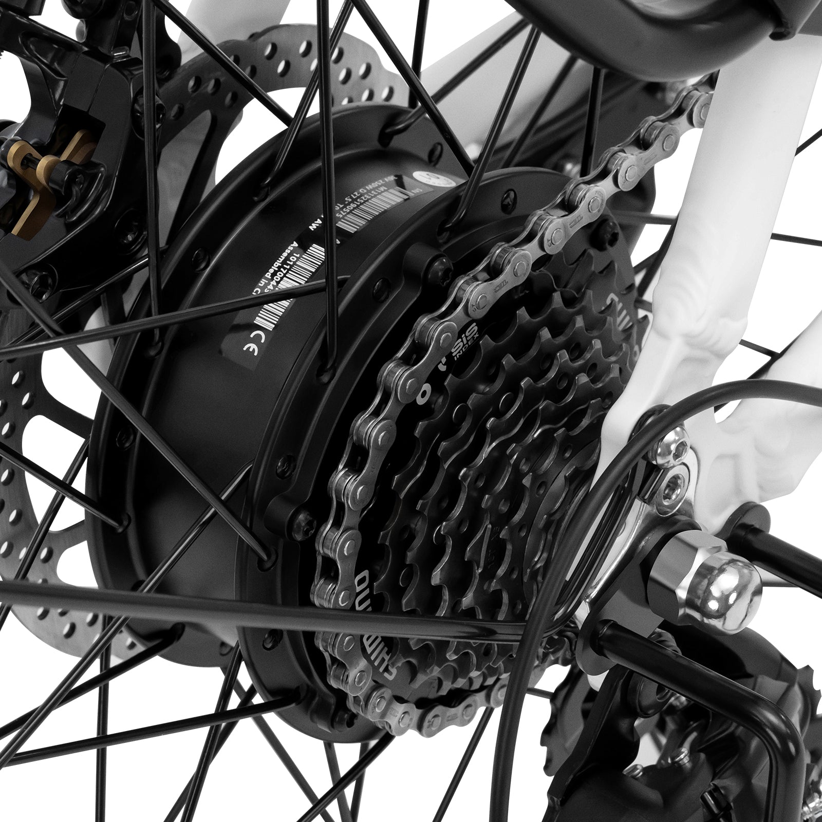 Electric Trekking Bike T1 ST