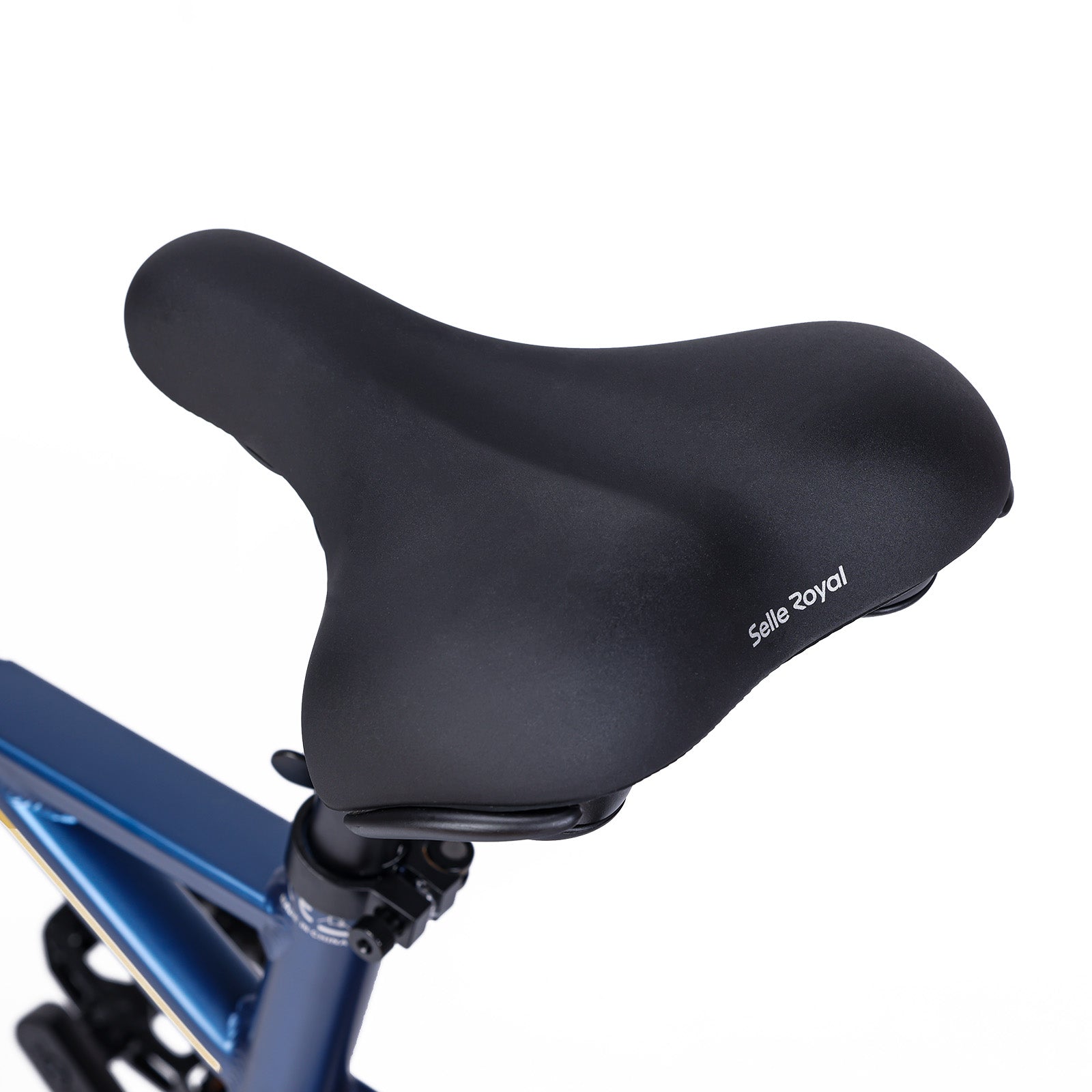 Electric Trekking Bike C1
