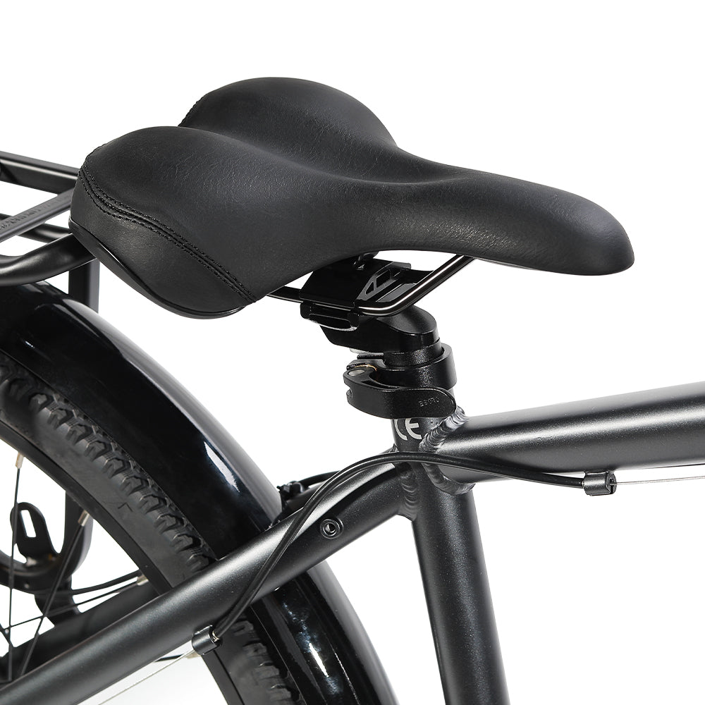 Electric Trekking Bike T1