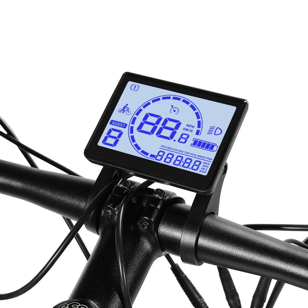 Electric Trekking Bike T1