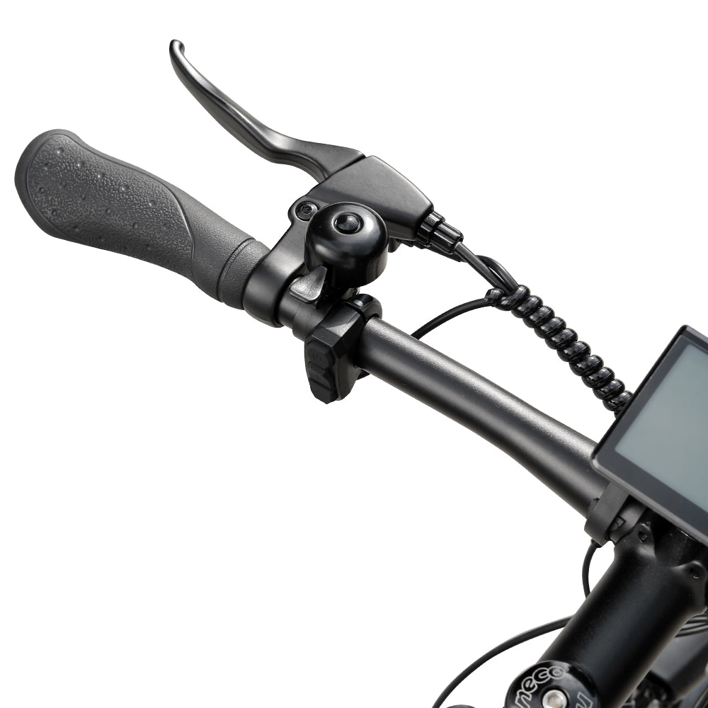 Electric Trekking Bike T1