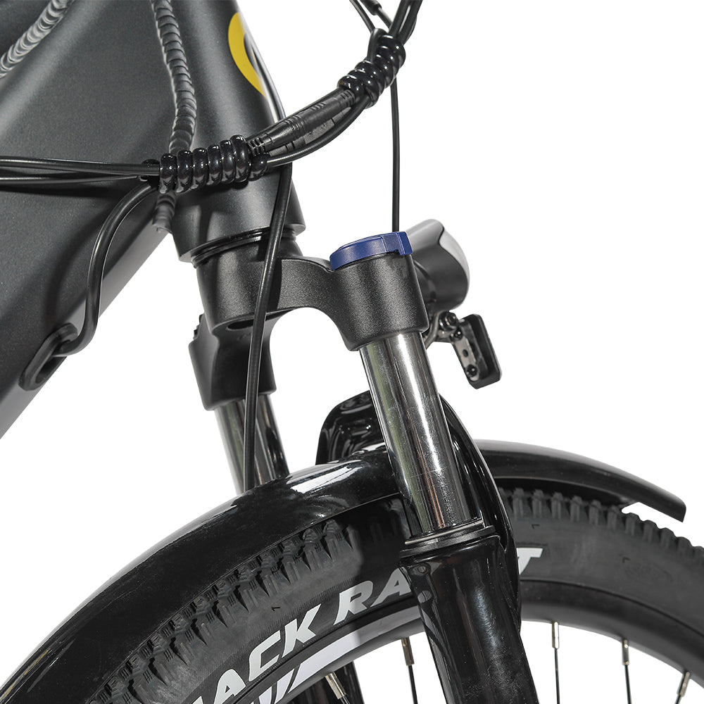 Electric Trekking Bike T1