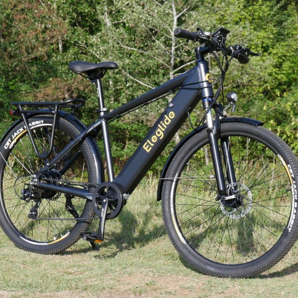 City & Tour E-bike