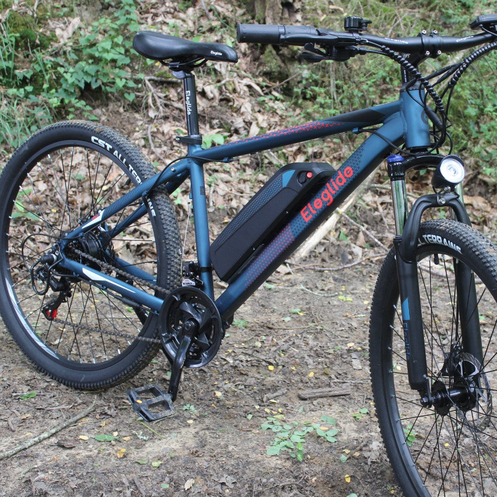 Mountain E-bike