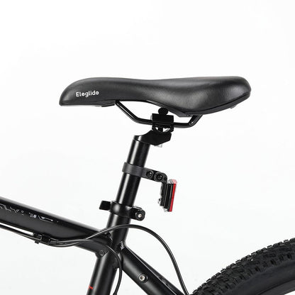 Bici elettrica da montagna Mopride 2