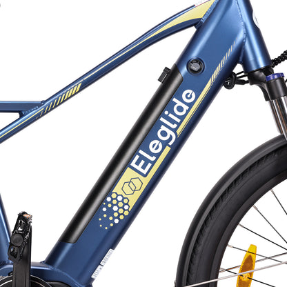 Electric Trekking Bike C1