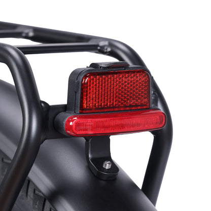 Electric Trekking Bike C1