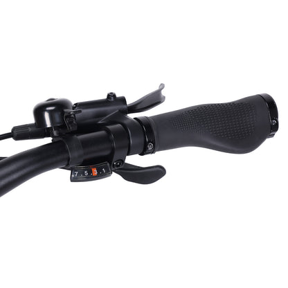 Electric Trekking Bike C1