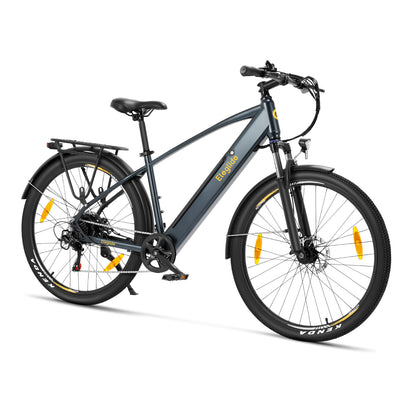 Elektrisches Trekkingrad T1