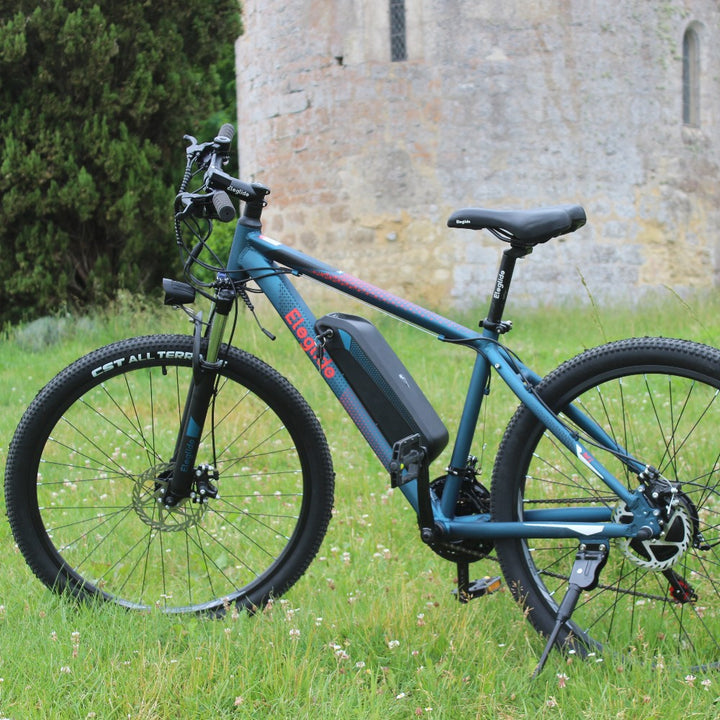 Montain E bike Eleglide M1