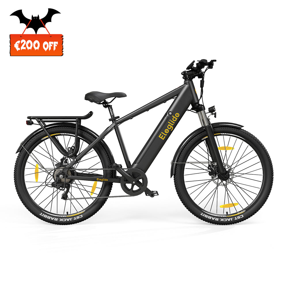 Elektrisches Trekkingrad T1