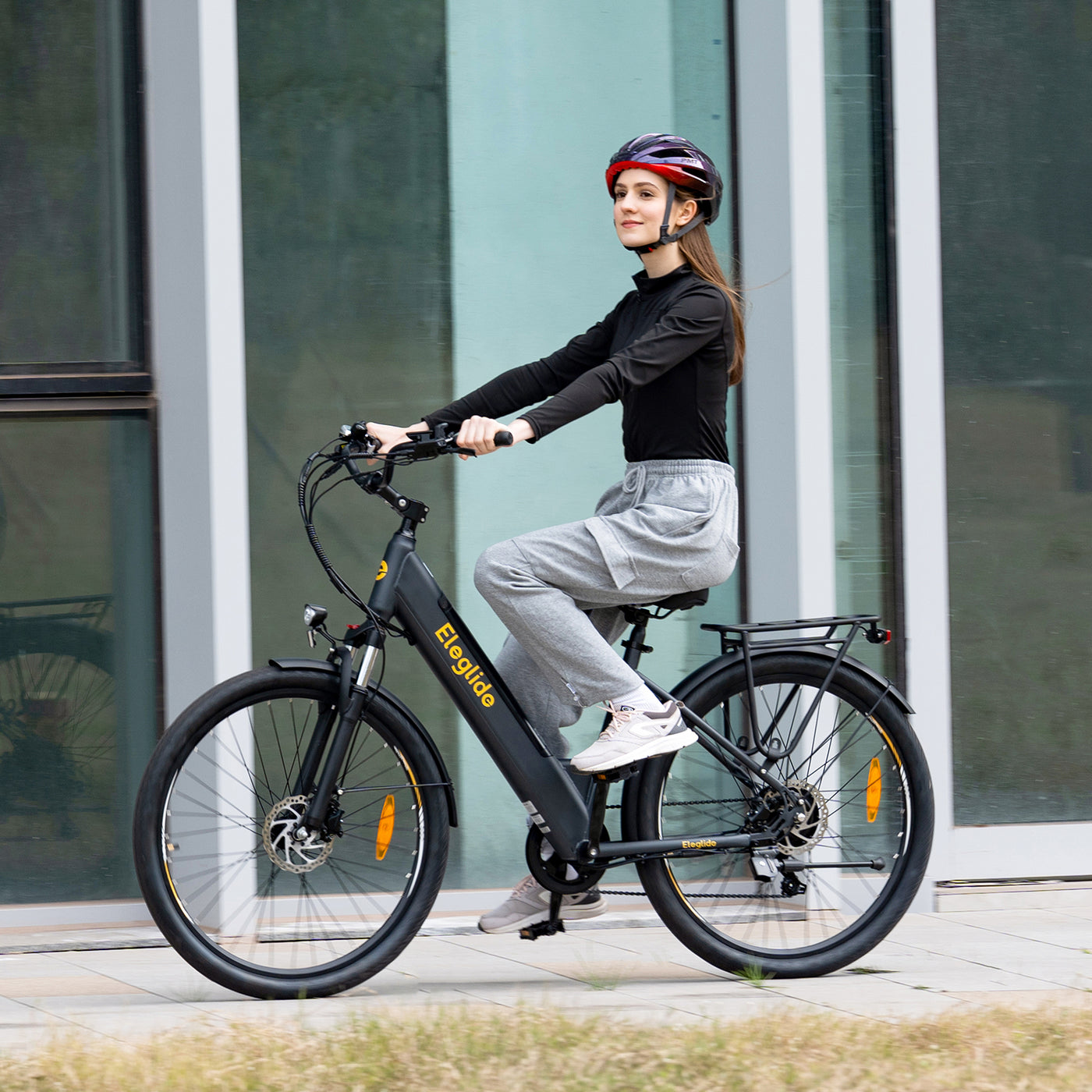 Bicicletta elettrica da trekking T2