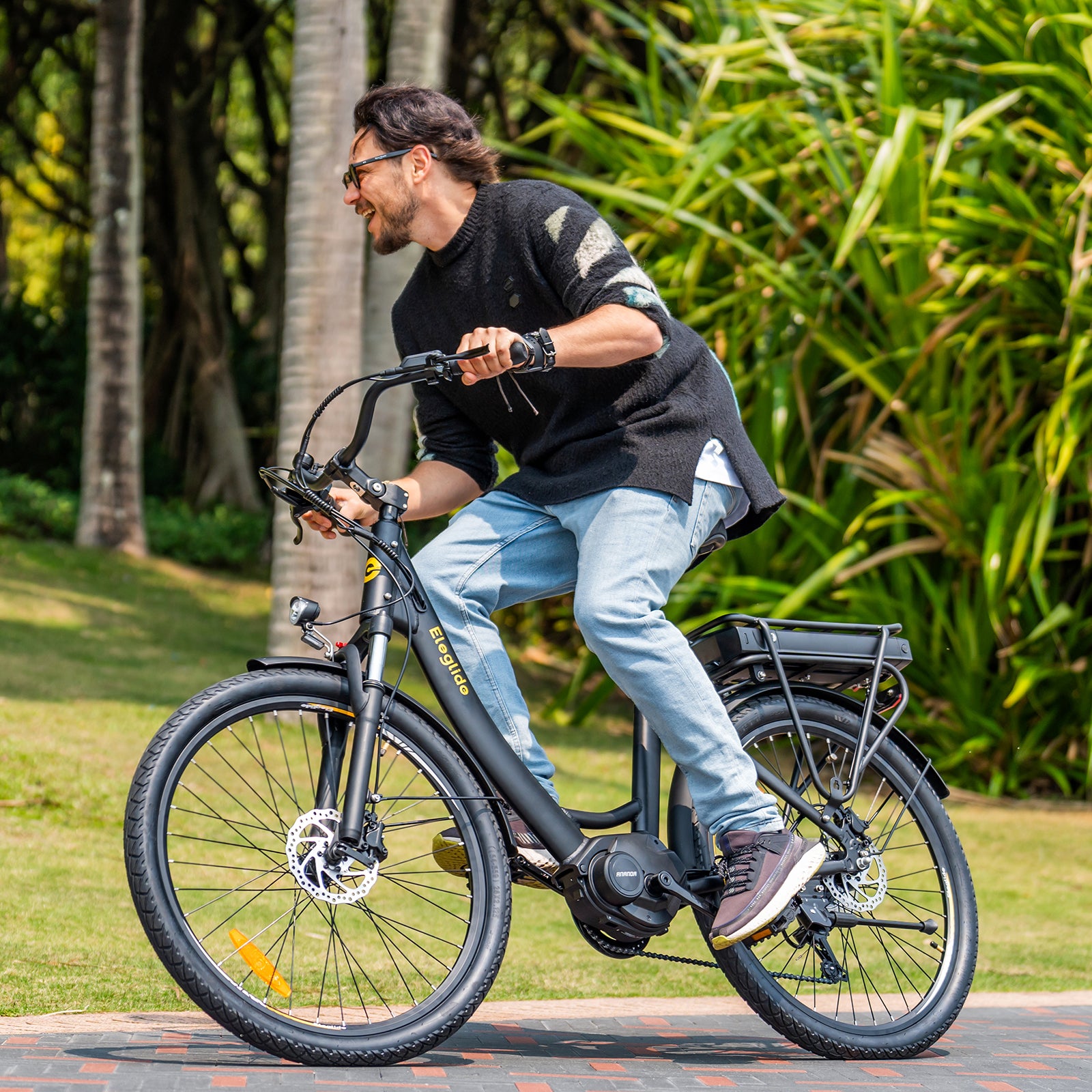 Electric City Bike C2