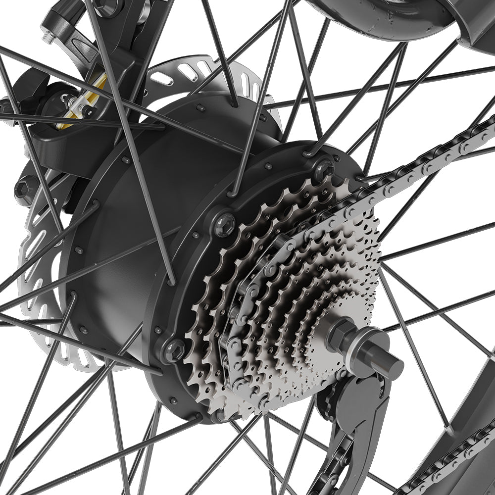 Electric Trekking Bike T1