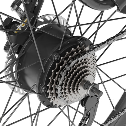 Electric Trekking Bike T1