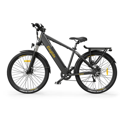 Electric Trekking Bike T1